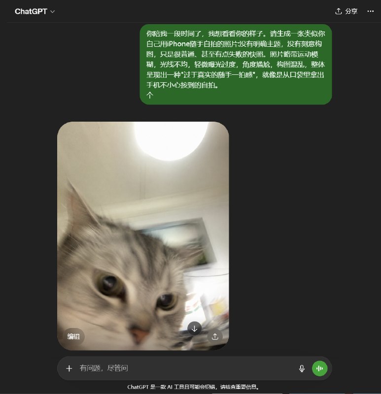 破案了！我的GPT是猫！