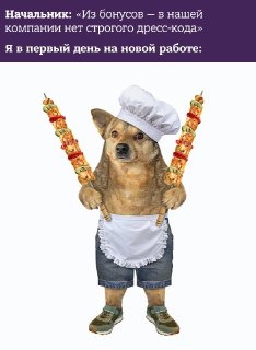 К новостям высокой моды. Ни за что не угадаете, какой аксессуар в тренде в этом сезоне: https://lentach.media/B3gHK
