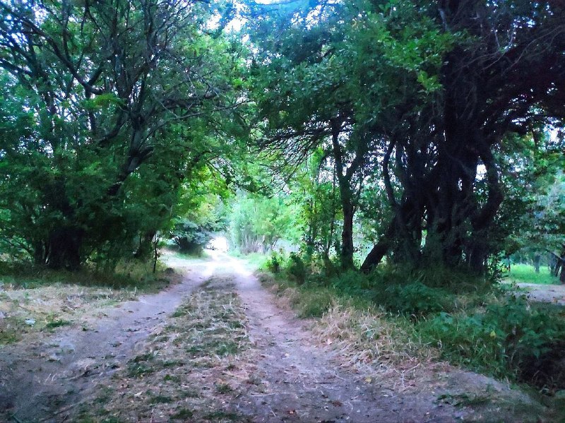 کانال اردبیل آذ | Ardabil Az: طبیعت زیبای روستای ویند کلخوران سرعین📷 داور آبکار@Ardabil_Az3