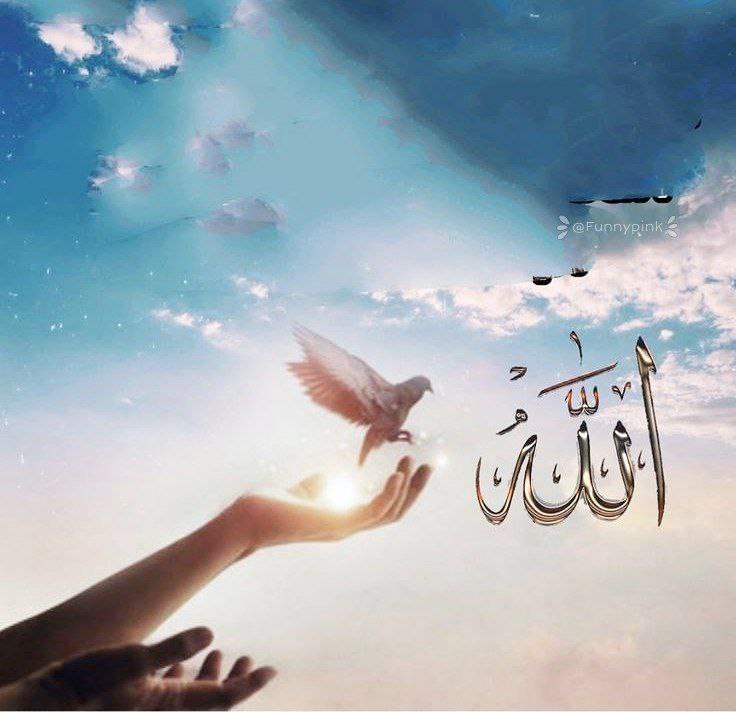 ☀️•.¸ثــــامــــن الــــائــــــمــه ¸.•☀️: شکرگزاری نردبانی‌ست از حال بد به آرامش...وقتی دلت پر از شکرهغصه‌ها کم‌رنگ می‌شنتو سختی هماگه ببینی چی داری و بابتش لبخند