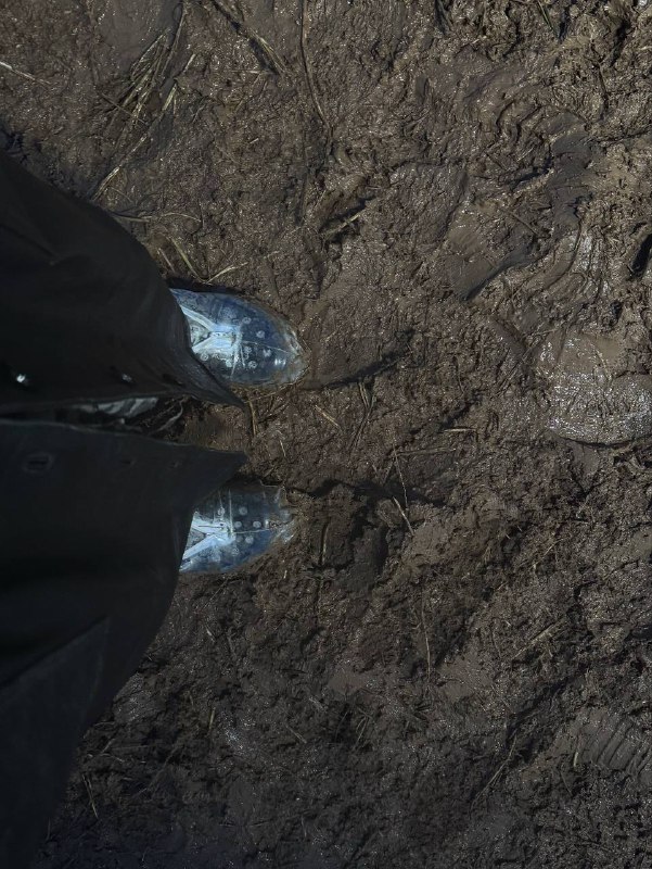 Мои нимфы и грязьМои нимфы и грязь