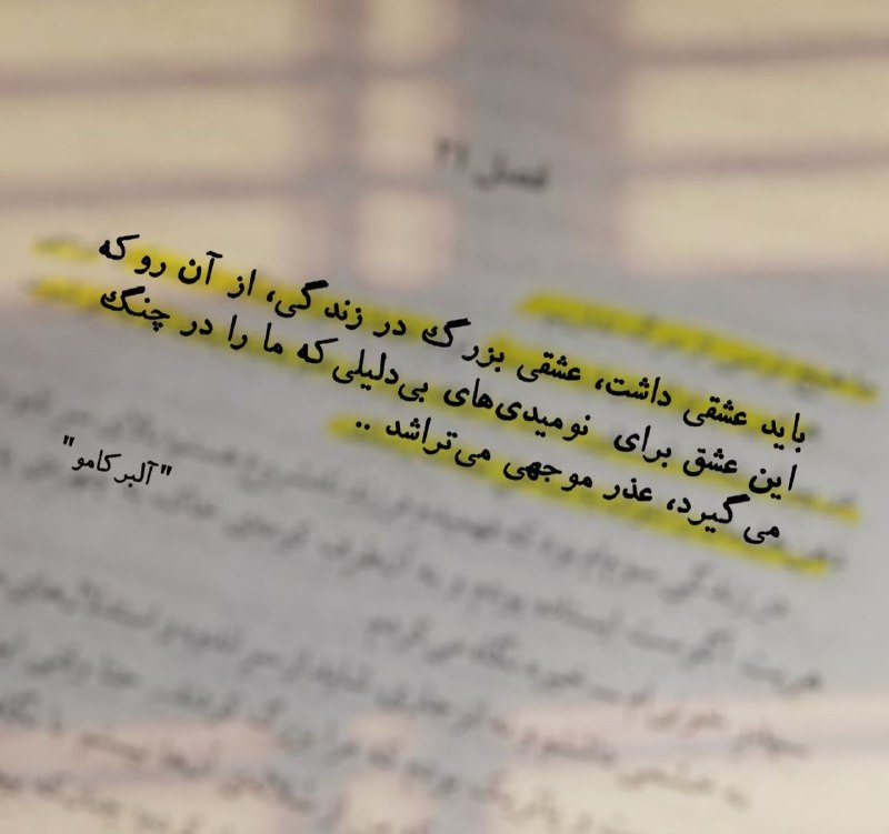 کتاب سرا📚: باید عشقی داشت، عشقی بزرگ در زندگی،از آن رو که این عشق برای نومیدیهای بیدلیلی که ما را در چنگ میگیرد ، عذر موجهی میت