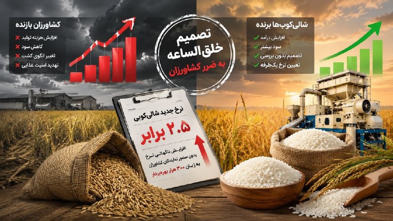آخرین خبر گیلان: تصمیم خلقالساعه جهاد کشاورزی؛ «شالیکوبها برنده، کشاورزان بازنده»🔹رئیس اصناف کشاورزی گیلان: در یک تصمیم خلقالساعه، نر