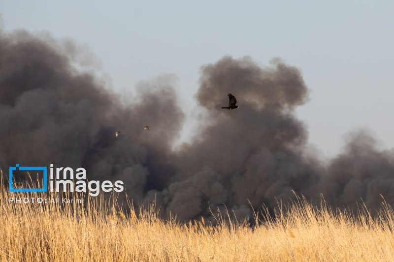 הקרב השקט להצלת האדמות הלאומיות של קאזווין