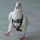 Диванный Редисыч 18+🕴