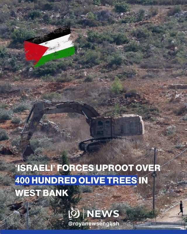Image from a post by Dunia Palestin