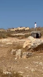 רשת חדשות ירושלים