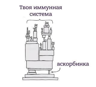 Зачем нужен витамин С, в каких продуктах он содержится — и как закрыть потребность организма в аскорбиновой кислоте? Отвечает эксперт: https://lentach.media/6ExQk
