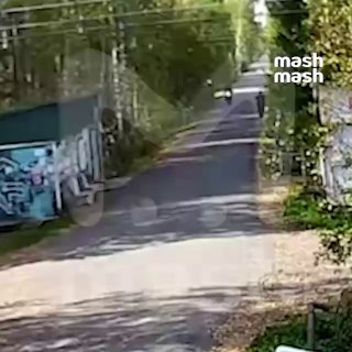Медведи всё чаще подходят к домам в Подмосковье и Тверской области — косолапых замечают у СНТ, на дорогах и прямо возле деревень. Особенно внимательными стоит быть жителям Можайского района и Шатуры.Помойки для зверей становятся лёгкой кормушкой: если мишк