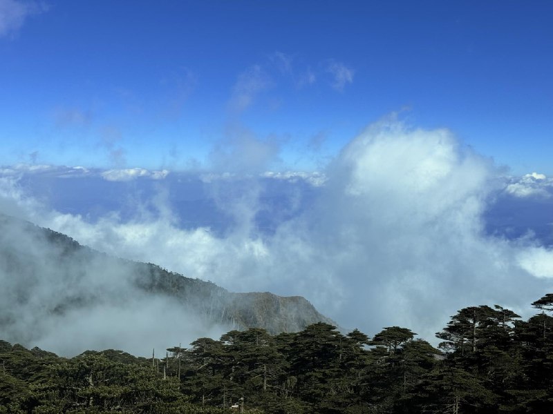 苍山上面原来是这样的风起云涌海拔 3900 米之上，紫外线爆表，变色眼镜第一次变成了纯黑色，看手机都看不清意外的是暴晒+零度气温，竟然不觉得冷氧气是人类的最好的朋友苍山上面原来是这样的风起云涌海拔 3900 米之上，紫外线爆表，变色眼镜第一次变成了纯黑色，看手机都看不清意外的是暴晒+零度气温，竟然不觉得冷氧气是人类的最好的朋友
