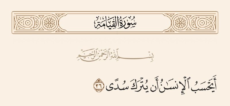 Tarigh | طریق: #آیه_نگار🍀أَيَحْسَبُ الْإِنْسَانُ أَنْ يُتْرَكَ سُدًى💌آیا انسان گمان میکند بی هدف رها میشود؟!📖سوره قیامة آیه ۳۶➖➖➖➖➖➖➖