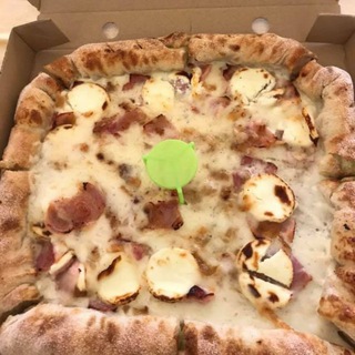 TELEPIZZA FOROCOCHERAS (PIAMONTESA GRATIS)