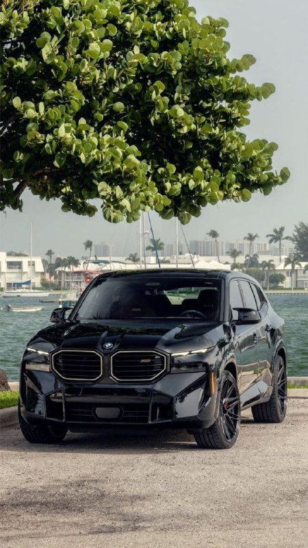 BMW XM