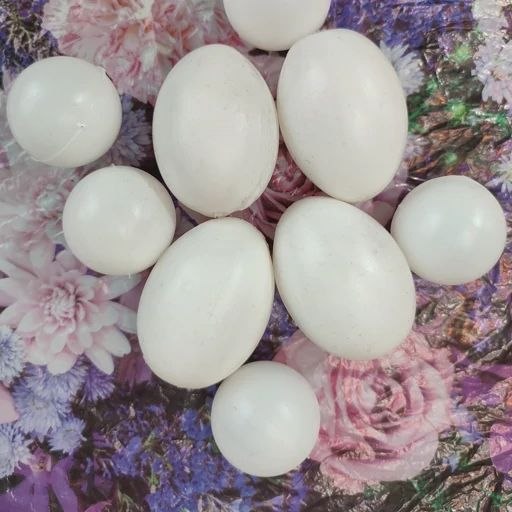 ▪️میلاجرد نیوز🕊: 🛑 تخم مرغ دونه‌ای ۲۰ هزار تومانابتدای دولت پزشکیان ۳ یا ۴ هزار توماننان بربری دونه‌ای ۶۵۰۰ تومان ابتدای این دولت ۱۵۰۰ تو