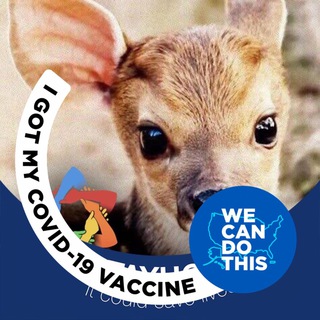 Europe dating 🥰😍😘😘 Telegram Group Link