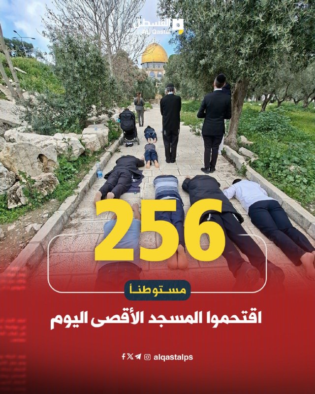 الاحتلال يحمي المستوطنين في القسطل