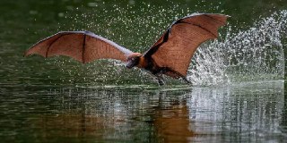 Начните рабочую неделю с красивых фоточек водно-болотных угодий Китая: https://lentach.media/Q7iC4