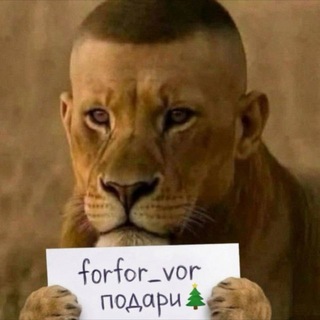 Чат фарфора