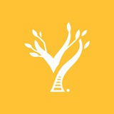 YeaHub Tech