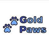 Gold Paws/Золотые лапки🐾