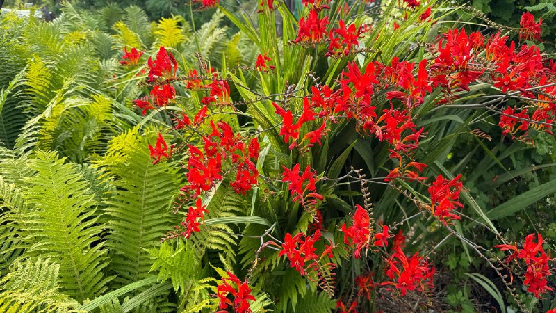 Уехала к бабушке за воспоминаниями из детстваВажная часть жизни, которую я отодвинула в сторону на многие годы — лет 10. Сама себя наказала, отказавшись от такой красоты 😍Уехала к бабушке за воспоминаниями из детстваВажная часть жизни, которую я отодвинула в сторону на многие годы — лет 10. Сама себя наказала, отказавшись от такой красоты 😍