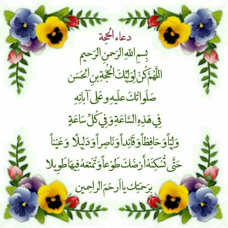 🌸 زندگے جاریست 🌸: روزتان مزین و معطر به عطر صلوات بر محمد و آل محمدبه رسم ادب السلام علیک یا رسول الله السلام علیک یابقیةالله فی ارضهالسلا