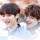 Interactive | 運 Jeongho Cat's . .