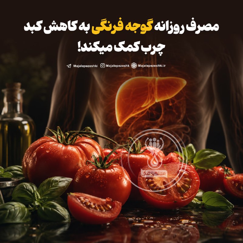 💚 زندگی و سلامتی💚: مصرف روزانه گوجه فرنگی به کاهش کبد چرب کمک میکند!🍅◽️گوجه‌فرنگی به‌دلیل داشتن لیکوپن، فیبر و ویتامین C می‌تواند به کاهش ا