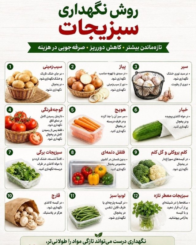 اخبار فوری مشهد و ایران: 🔸سبزیجاتت رو تازه‌تر نگهدار و دورریز رو کمتر کن🌿🥕@Akhbarforimashhadاخبار فوری مشهد و ایران