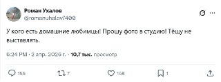 Похвастаться домашними любимцами можно тут 👇