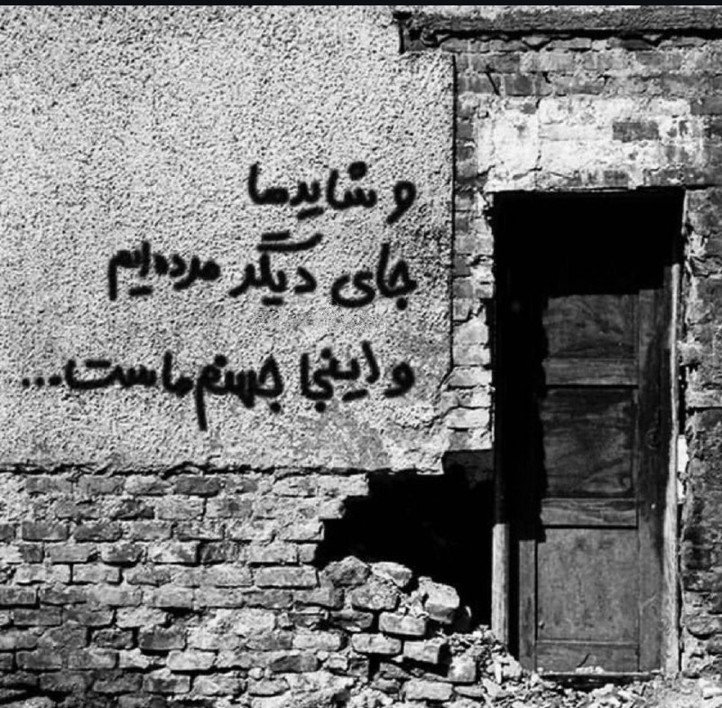 LASHNews | لش نیوز: ما زندگی نکردیم هر روز تقلا کردیم برای زنده موندن...بخوابیم❤️Sogand @LASHNewsorg ♟