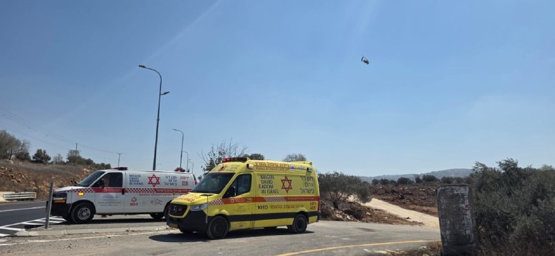 ניצן שפירא