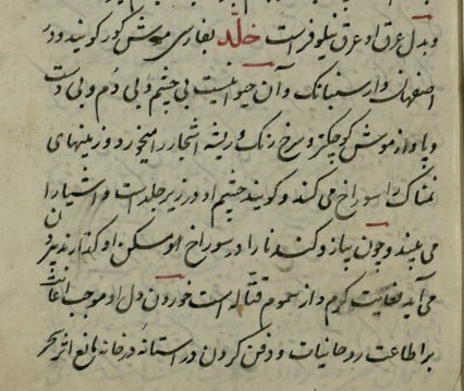 رسول جعفریان: خلّد به فارسی موش کور گویند، و در اصفهان دار سنبانک، و آن حیوانی است بی چشم و بی دم و بی دست و پا ، و از موش کوچکتر، و س