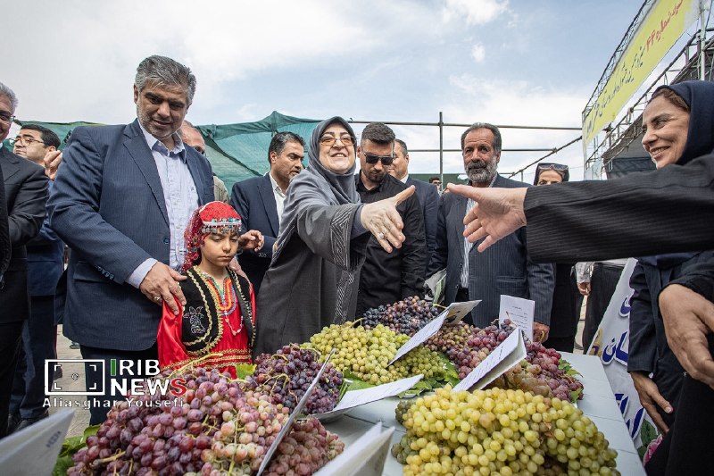 The 13th grape festival of Kfar Khazava in the city of Arak.