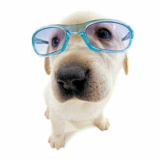 Чатик для Знакомства Telegram Group Link