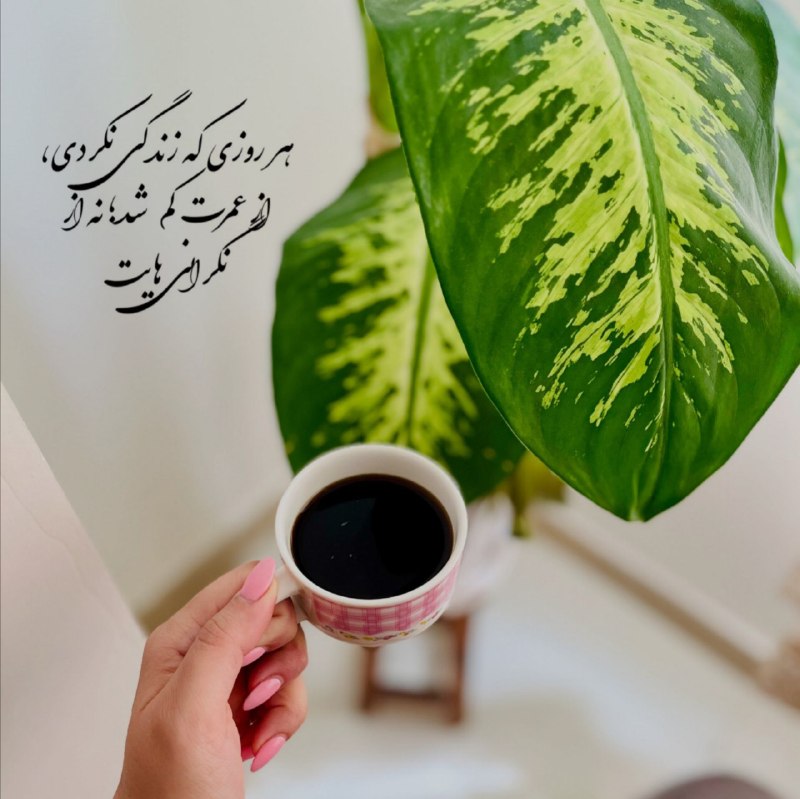 ‹پُرتقال‌‌خونی🍊›: ≼ هر روزی که زندگی نکردیاز عمرت کم شد نه از نگرانی‌هایت🍀🪻 ≽‌