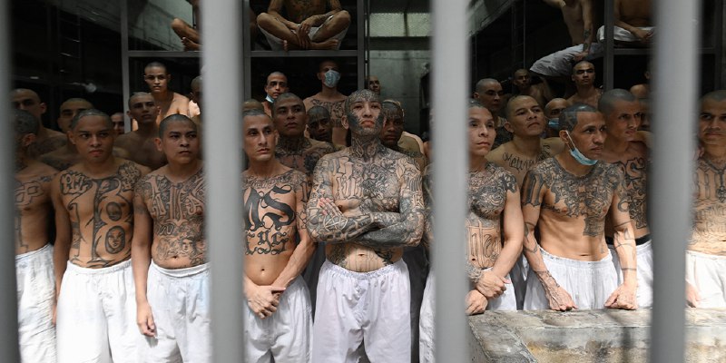 Violent MS-13 gangbangers getting 'desperate'; DHS official credits early Trump action