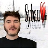 Секта тюленей