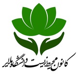 کانون محیط زیست🌱