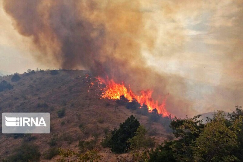 The police chief of Aligodrez announced the identification and arrest of the person who intentionally set fire to 30 dunams of forests and pastures in the "Margasar" area of ​​this city.