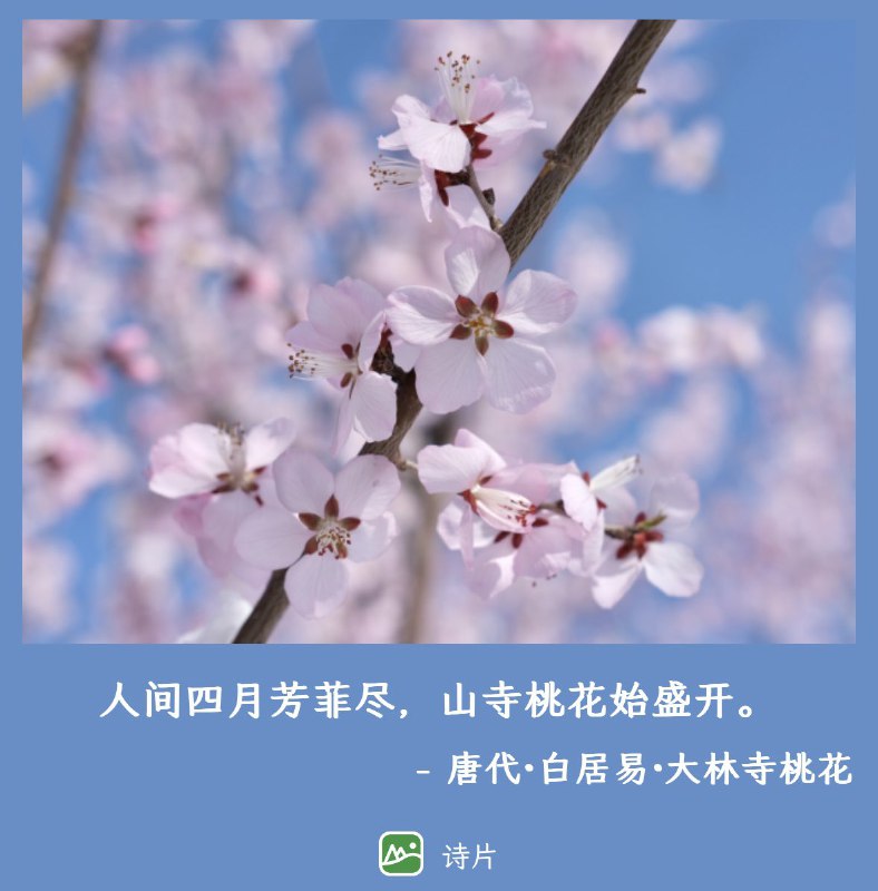 有时候拍完照片，想给照片配字，但又不知道配什么文字