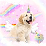 # я́мєйи́и́ 🌈