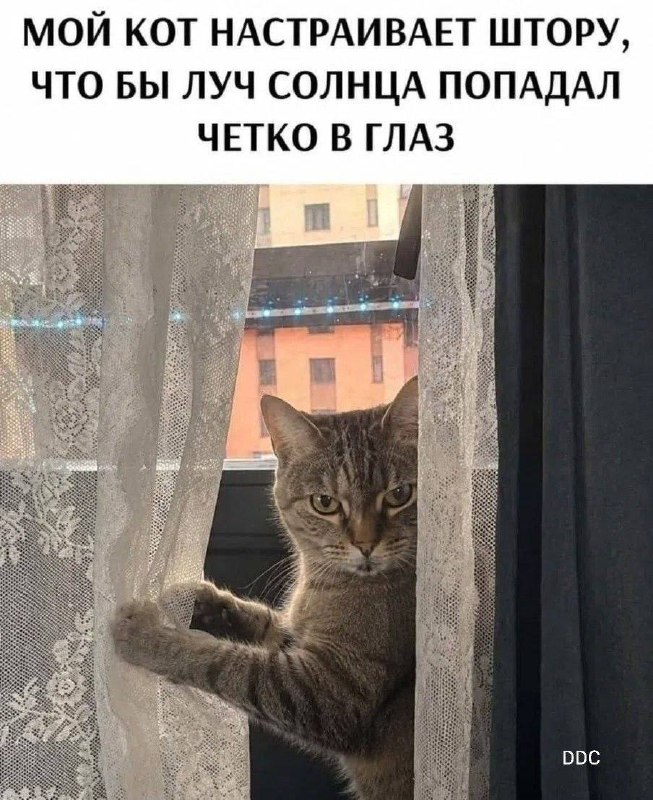 Иллюстрация к посту канала ЮЛИЯ МЕНЬШОВА