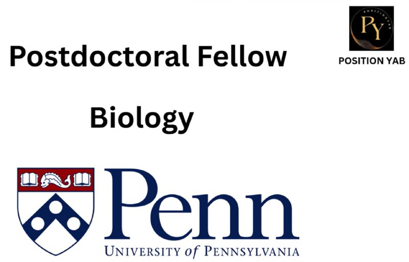 همیار محققین: 👁🗨 Postdoctoral Fellow🎓 Biology🏬 University of Pennsylvania, Philadelphia, PA▶️ https://youtu.be/R46MyxiSMS8