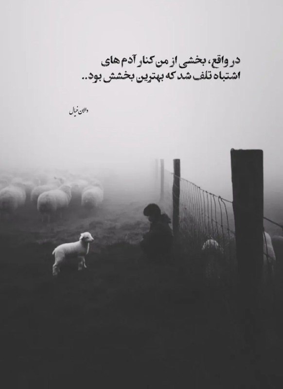 👑 شهر عکس 👑: 💜 @shahreeaks 💜