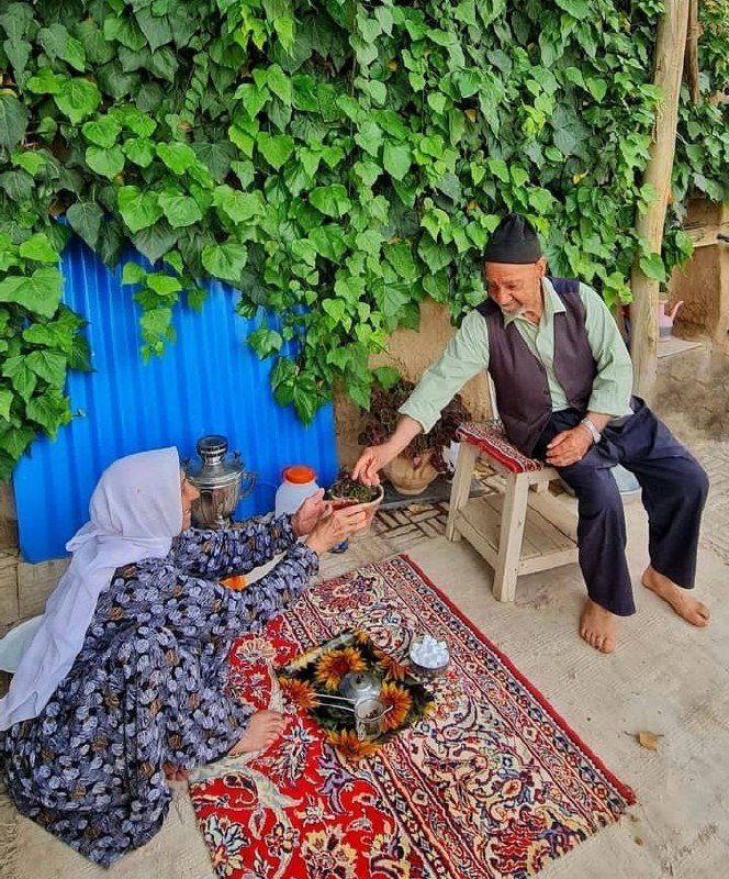 کانال سلامت🔖: خلوتی‌ داریم‌ و‌ حالی‌ با‌ خیال‌ خویشتن...صبح به‌خیر🕊💊 @dr_salamati_ir