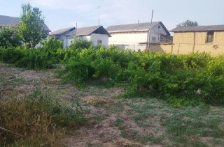 Продается дом 18 сот. Уй сотилади 18 сот. Паркент тумани