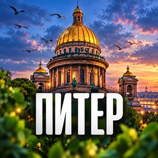 Telegram profile photo for Новости Питера | Санкт Петербурга