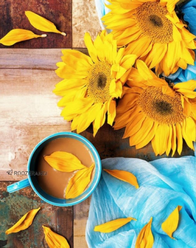 خانقاه سرخ: 🌻ســــلام🦋صبح چهارشنبه تون زیبـا🌻و لحظات زندگیتون🦋گرم از عشق و محبت🌻امیدوارم امروز🦋لبخند شیرین روی لباتون🌻شادی توی دلهات