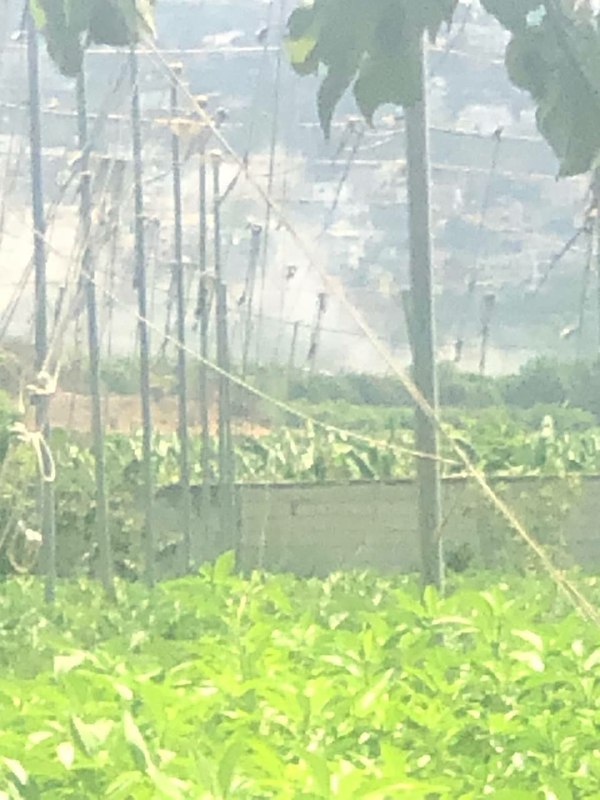 🚨הפצצה ארטילרית מכוונת לעיר אל-מנצורי